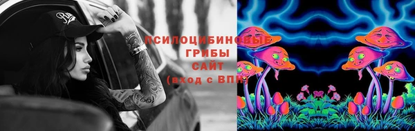 каннабис Алзамай