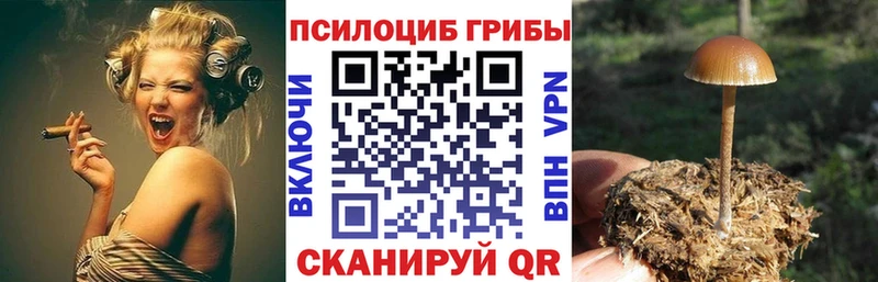 Галлюциногенные грибы Magic Shrooms  Ступино 
