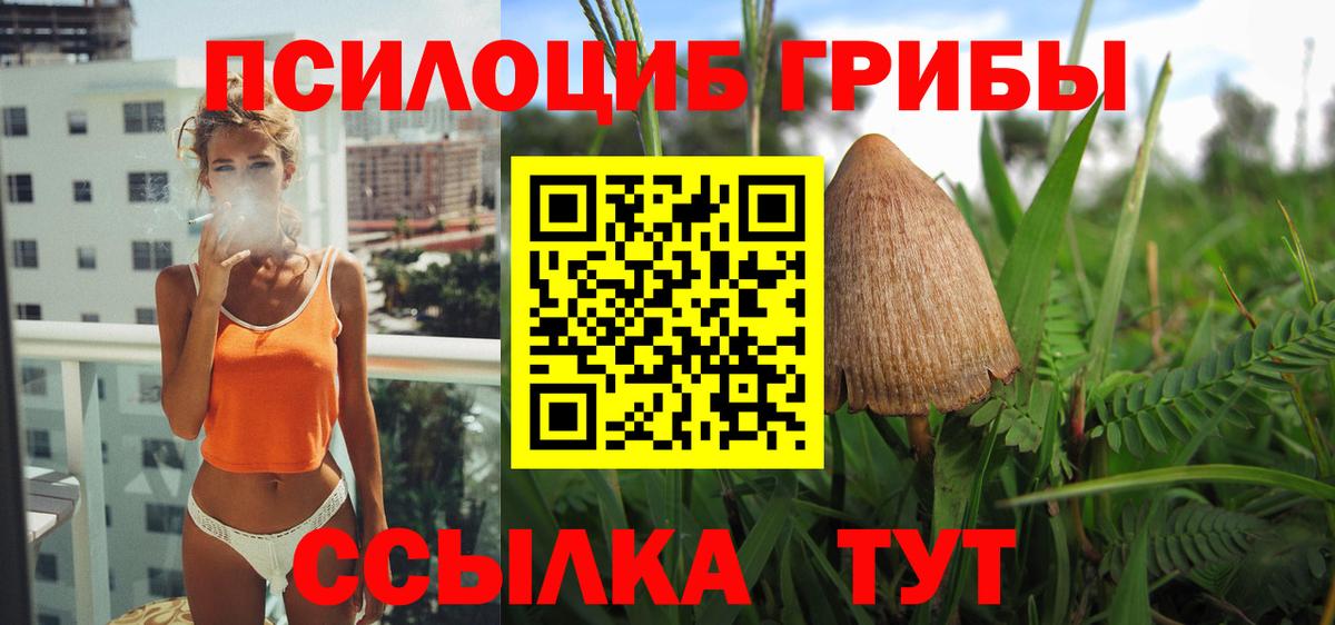 Галлюциногенные грибы мицелий Ступино