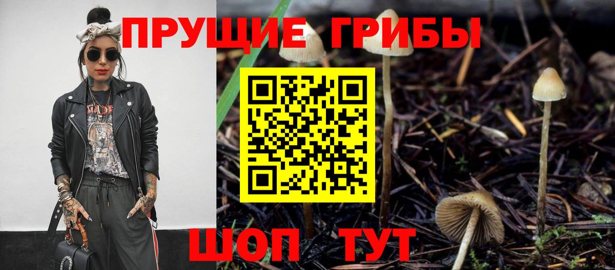 ГАШИШ Ступино