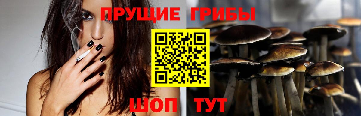 Псилоцибиновые грибы прущие грибы  Вход с VPN  Псилоцибиновые грибы ЛСД  Ступино 